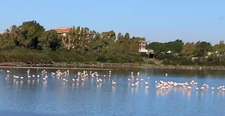 Turismo Rurale Pertunghe Villa Sant' Antonio di Santadi Exterior foto
